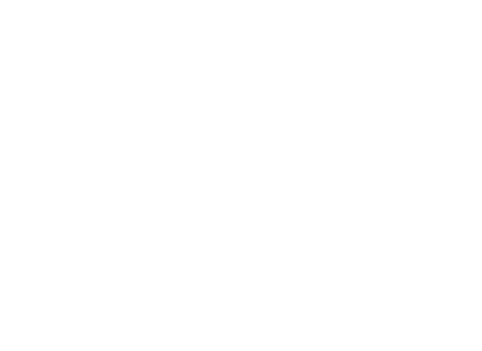 Trip Advisor